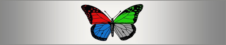 Бабочка с разноцветными крыльями. Принцип симметрии и случайные процессы.